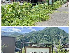 私達は、更に進んで鳩ノ巣駅で下車します。。。
大自然に囲まれた静かな駅.。o○
