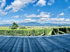 カンパーナ六花亭