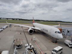 成田。当初はここから名古屋で終わり。
なぜかシンガポールをあいだにはさめた。