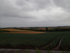 パッチワークの道。