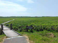 帰路、北方原生花園に寄ってみました