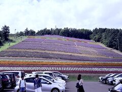 夏のゲレンデはラベンダー畑。左のリフトは長蛇の列。

本当はこの山の向こうにある 六花山荘 へ行こうと思ってたんだけど「予約は来店の3日前までに」なんだって。残念。

それにしても、あぢ～　この日の最高気温は32℃
佐呂間は 36℃超え。
