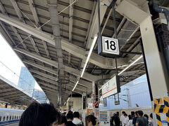東京駅から新幹線で京都へ。

ダンナが新幹線の指定席を取っておくはずが、のんびりしすぎていて完売・・・。少し早めに東京駅に行き、自由席に並んでみることになりました。