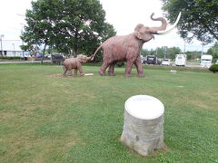 目の前の公園には親子ナウマン。