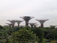 ガーデンズ・バイ・ザ・ベイをマリーナベイサンズから
見ることができました。いつか行ってみたいです。