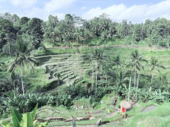 さて次は・・・本日のハイライト・・かな

テガララン・ライステラス　周辺を含めて世界遺産だって
これは見たかった風景
