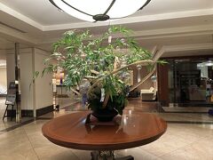 大好きなホテルの朝。