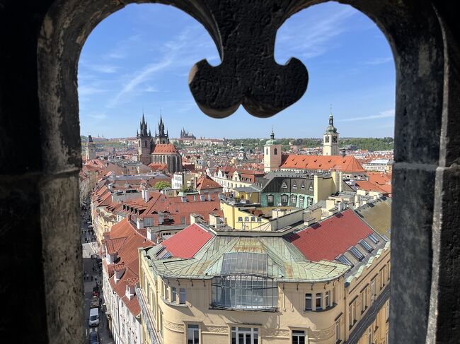 額縁効果で素敵！