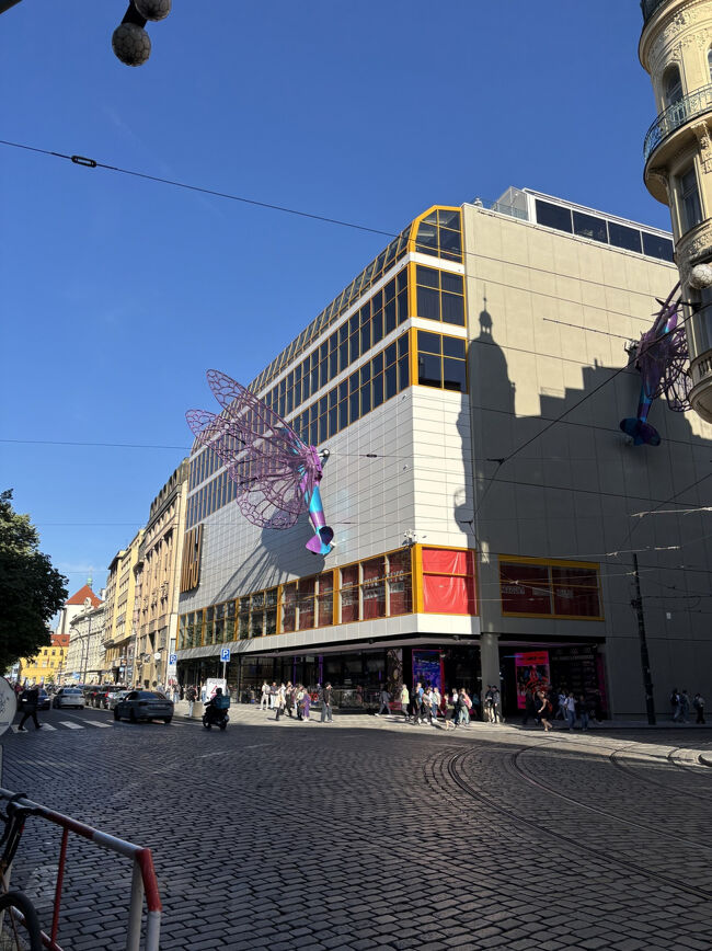 巨大な蝶々が壁に。