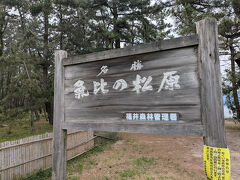 みんな大好き、日本三大〇〇
ここは、日本三大松原です。
氣比の松原です。
その３つとは、静岡県の三保の松原、福井県の氣比の松原、佐賀県の虹の松原です。
去年の９月に佐賀県の虹の松原に行ったので、これで残るは静岡県の三保の松原のみ。