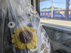 また来るね、伊豆高原…