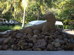 空港からの送迎はホテルを予約した際に頼んでおきました。
ホテルに到着です。
コモドドラゴンがお出迎えしてくれました。