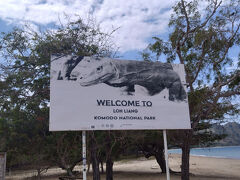 次はいよいよコモド島です。