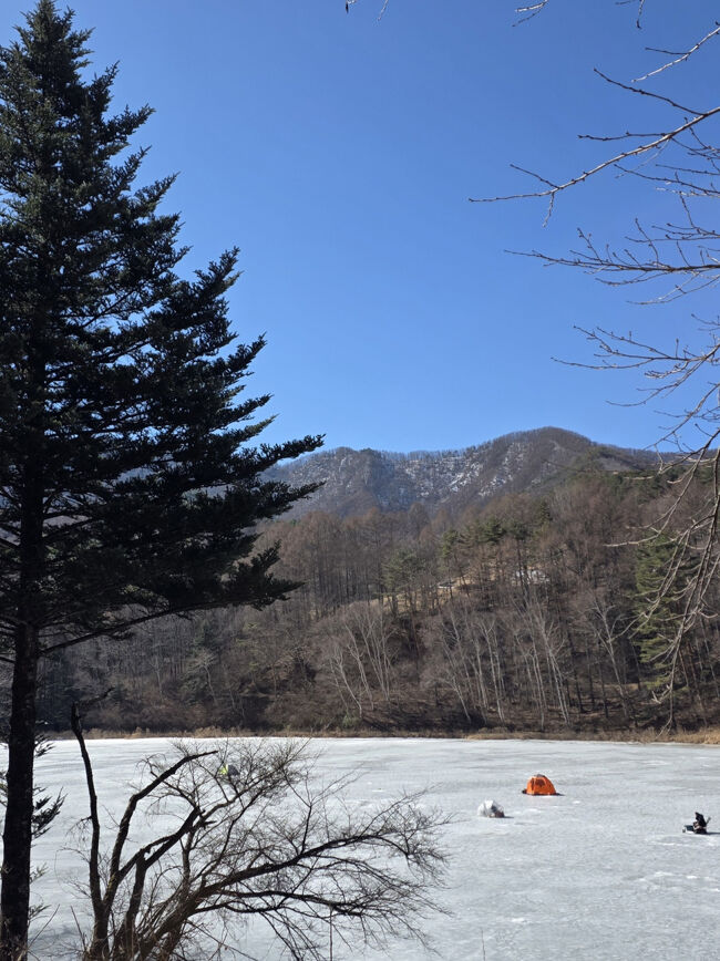 このところ気温が高く、このままだと氷上釣りもあと少し。と先ほど見回りの監視員さんが仰っていました。