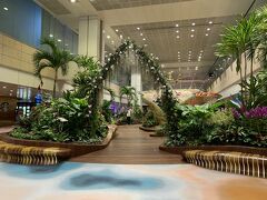 シンガポールチャンギ空港到着。
フルキャリアのお得旅は、深夜の空港泊付き(笑)

ただ今深夜１時半。
Jewelは滝が流れてないし、お店も閉まってる。
ターミナル３のエアサイドの映画館もいいけど、乗継のバリ便は同じターミナル２発なので、ターミナル移動が面倒‥

ということで、コチラで仮眠します。
油断するとベンチから転げ落ちますが、身体を伸ばせるのはGood。