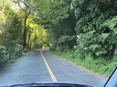 このような細い山道を上ります。