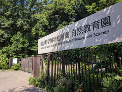 国立科学博物館附属自然教育園は9時オープン。

JR目黒駅から歩いて7分。
ちょっとフライング気味に到着。

https://ins.kahaku.go.jp/index.php

何年振りだろ？20年はご無沙汰してるな。