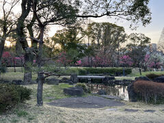 旧藤田邸庭園として整備され結構広い庭園なんですね。とても全部見られなかった。心が和みます。また来たい美術館です。
