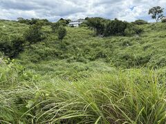 カルスト台地にある水を吸い込む穴。へーそんなのがあるとは。
たくさんこういうのがあるとの事
