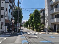 この芭蕉通りをわざわざ通って森下駅まで戻る私は、すっかり芭蕉ファン。