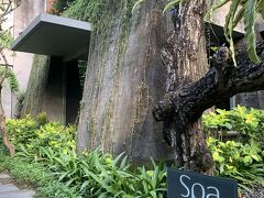 スパトリートメントを日本から予約済み
Mayaはマヤ遺跡を模してる？