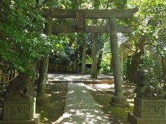 そこから、すぐのところに氷川神社　金王丸が祈願した神社とのこと
相撲の土俵があります。