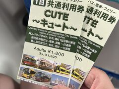 観光案内所のお姉さんにおすすめされて一日乗車券を購入
これがめちゃめちゃ便利でした
桜島へのフェリー券もついてこのお値段はお得すぎるよね
