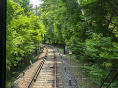 秋は紅葉で有名ですが、夏は青もみじのトンネルです