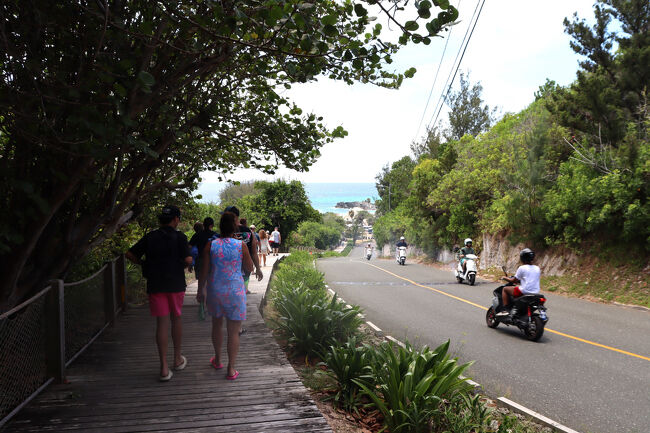 Horseshoe Rd<br />木道を5分ぐらいかな～？下って行きます。<br />