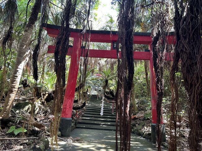 せっかくなのでお詣りしました☆彡<br /><br />ツル状の植物をかき分けて進みます(笑)
