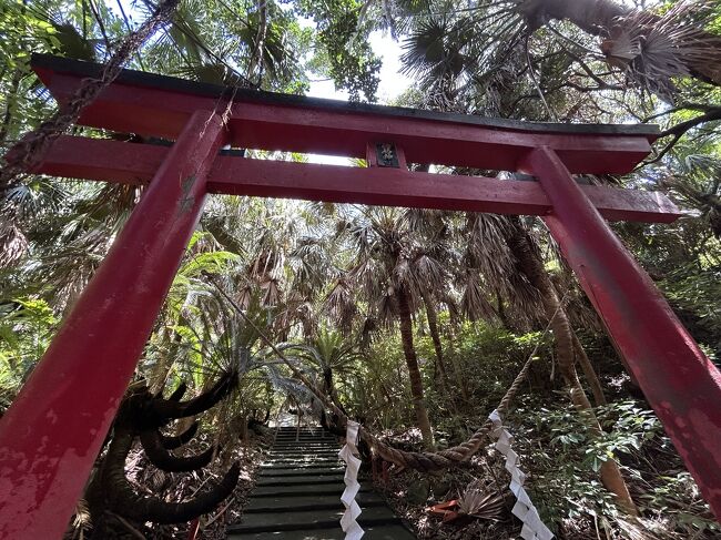 神社を発見☆彡<br />御崎神社です<br />恐らく本土最南端の神社でしょう