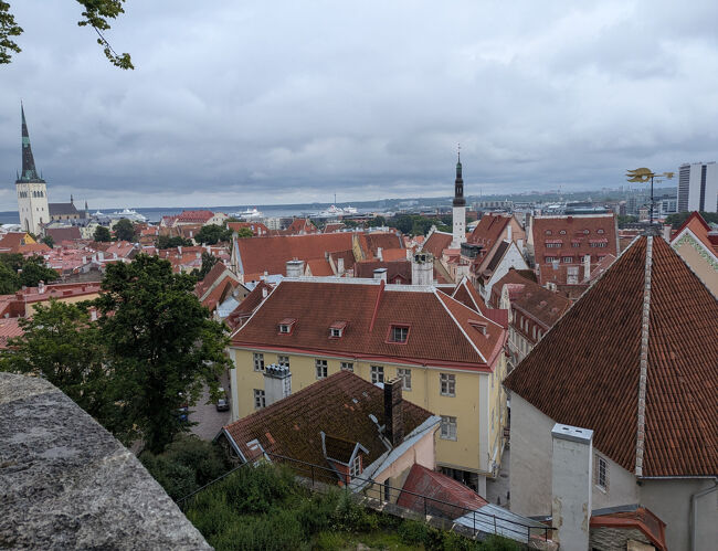 タリンの旧市街が一望できます<br />写真だと曇りで屋根などの色も少し鮮やかさに欠けますが<br />実際は写真よりも鮮やかなオレンジ色でした<br />今回はこの風景を見たかったので満足です