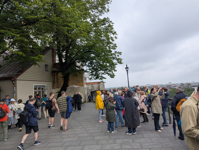 次は近くのパットクリ展望台へも移動