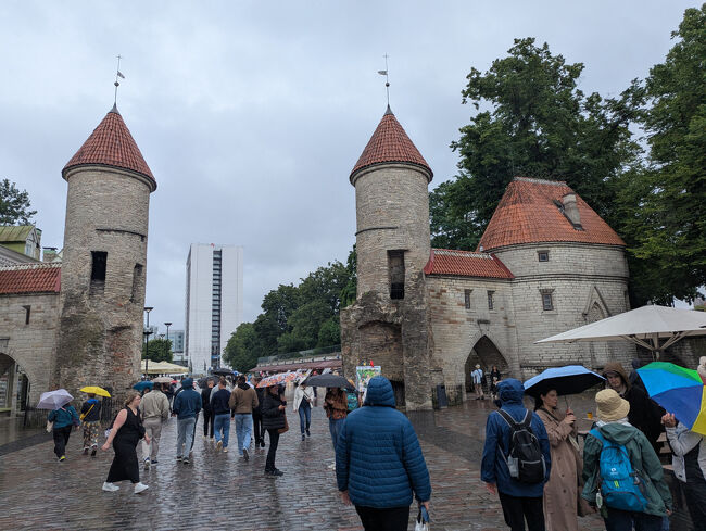 展望台からヴィル門まで歩いてきたところで雨が激しく降り始めました<br />昼食を予定していたお店へ急ぎます