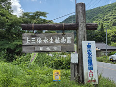 次は、国道４００号で塩原の山を越えて、上三依水生植物園。