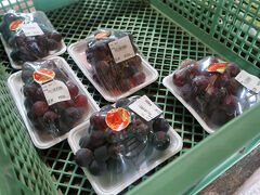 美味しそうなブドウが陳列されていました。
その後、妖精の森ガラス美術館へ行き無事にグラスを受け取りました。子供たちが作ったグラス、子供たちの愛用品となりました。
これで旅行記は終了です。お付き合いいただきありがとうございました！