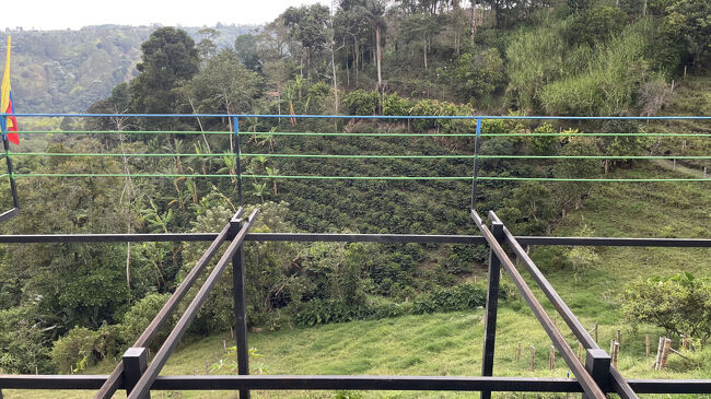 ファーム内を他にも案内してもらい、コーヒーの実がコーヒーとして飲めるようになるまで一連の流れを見ました。<br />焙煎するところも見て、ああいい匂い、、、と幸せ。<br /><br />写真の中のもこもこした濃い緑色の段々畑みたいなところ、わかりますか？あれがコーヒーの木です。<br />二毛作でバナナも作っています。