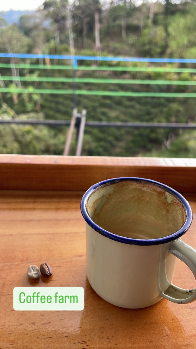 飲んだあとの写真ですが、好きな飲み方でコーヒーが１杯ついてきます（ツアー料金は1,500円くらいだったような。。うろ覚えすみません！）。<br />私の好きな挽き方はダークミディアムローストと呼ばれることを教えてもらいました。<br />ツアーは１～2時間ほどです。<br /><br />帰りも歩きました。