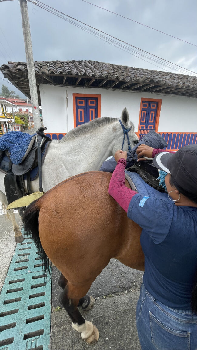 午後は乗馬がしたくなったので例のお兄さんのところに行って聞いてみると、今日できるよ、とのこと。<br />雨降りそうでしたが雨天決行！30分～2時間くらいまで選べるようですが、お尻が痛くなると思ったので一番短い30分にしました。<br />山の方まで登っていき、サレントが一望できるところまで行きました。<br />なんか、、、馬に対してめちゃ愛着を感じました。ありがとね～～～！<br /><br />料金は4,000円くらいだったような。。チップをお忘れなく。