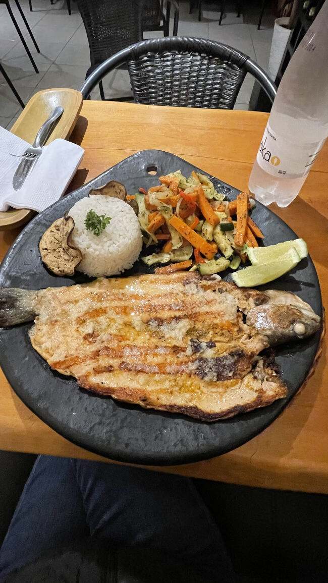 夕飯はTodo Rikoというレストランでトラウト。小さい鮭みたいな魚です。日本語だとマスなのかな。。。？<br />サレントの名物とのことでトライ。コロンビアの山の中で魚が食べられるなんて。美味しかったです。