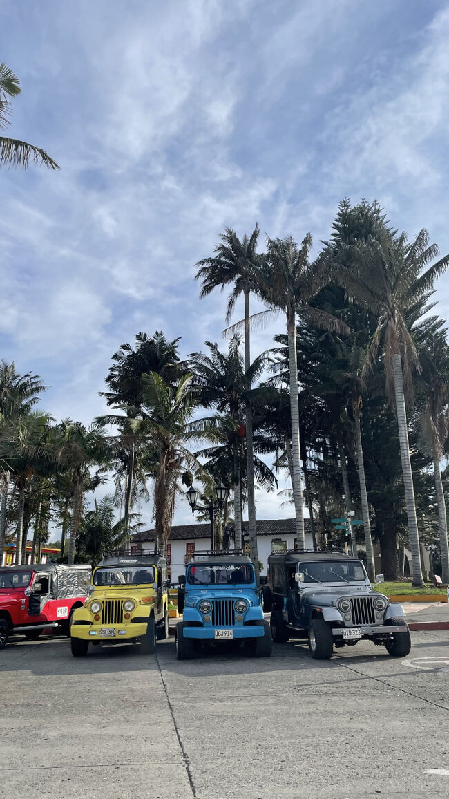 そして今日はValle de Cocoraへハイキング。<br />これが、サレントのタクシー。バギーです。かっこいい！<br />これに乗って谷まで行くのですが、後は荷台みたいになってるのでそこにつかまって立ち乗りしました。風が気持ちよかった！<br /><br />で、谷に着いてフランス人カップルとガイドさんとハイキング。<br />雨降ったり寒かったり暑かったり、と忙しかったですが自然は最高。<br />ココラ谷はその昔、ココラ姫が敵国の王子と恋に落ちて駆け落ちしに行った場所だそうです。<br />ココナツの木がたっくさんあります。<br /><br />翌日は朝イチのバスでメデジンに向かいます。<br />サレントは自然がいっぱい！大自然の中でのびのびと遊びました。南米で一番安全なのでは？