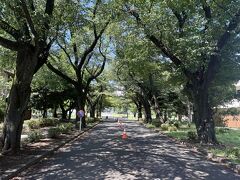 立川から武蔵小金井へ。さらにはタクシーに乗ってやってきました、江戸東京たてもの園へ！
今回の旅行で唯一、パパである私のたっての希望でやってきた場所です！
暑い。