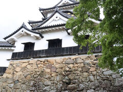 曇っていたのですが