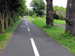 この多摩湖自転車道は狭山・境緑道とも並走しています。