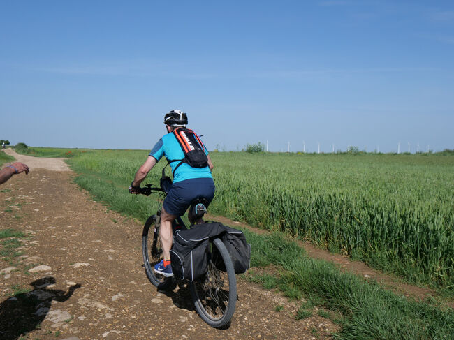 麦畑とチャリダー