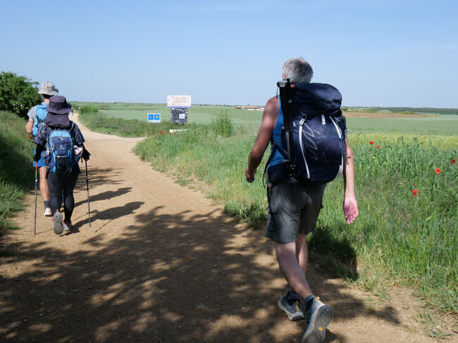 我々はこの数日、スローペース<br />追い越しをする巡礼者