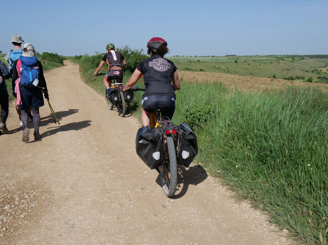 チャリダーその３<br />我々は端に移動<br />オフロードなのでペダルは重いと思います