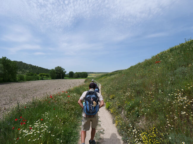 炎天下、道幅狭く、追い越し禁止