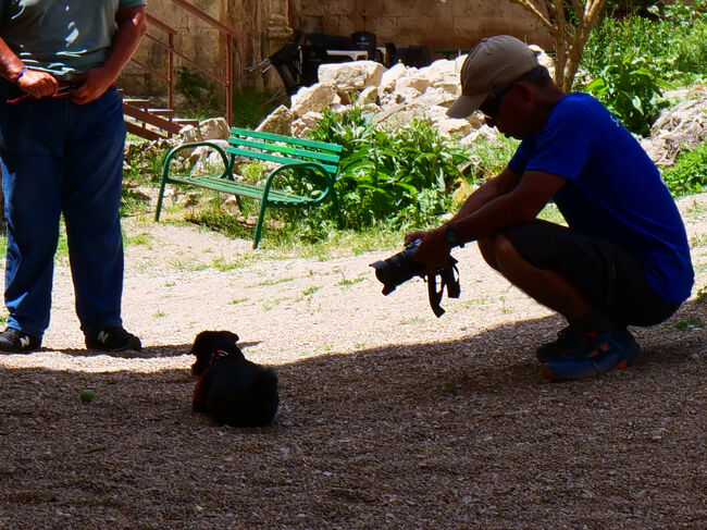 小犬を撮影するＦさん