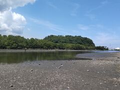 野島を対岸の横須賀市夏島側から観察。
干潮により岸辺は干潟となっていて、中央の浚渫されて水深が維持された幅だけが水路となっている。
うっかり深みに落ちて水を飲んで溺れると一大事だ。
右手の金沢湾越しの対岸には横浜(金沢)八景島シーパラダイスのアクアミュージアムの三角錐状の建築物の屋根が見えている。
八景島から右手の岸辺に高架橋を連ねて金沢湾を横断する国道357号線の延伸計画があるが、日産自動車の組立工場廃止に伴う交通量の大幅減少により、凍結に近い優先度の低下が決定的になった印象だ。